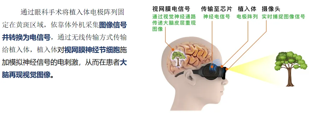 20260902104108207261.webp 32.webp